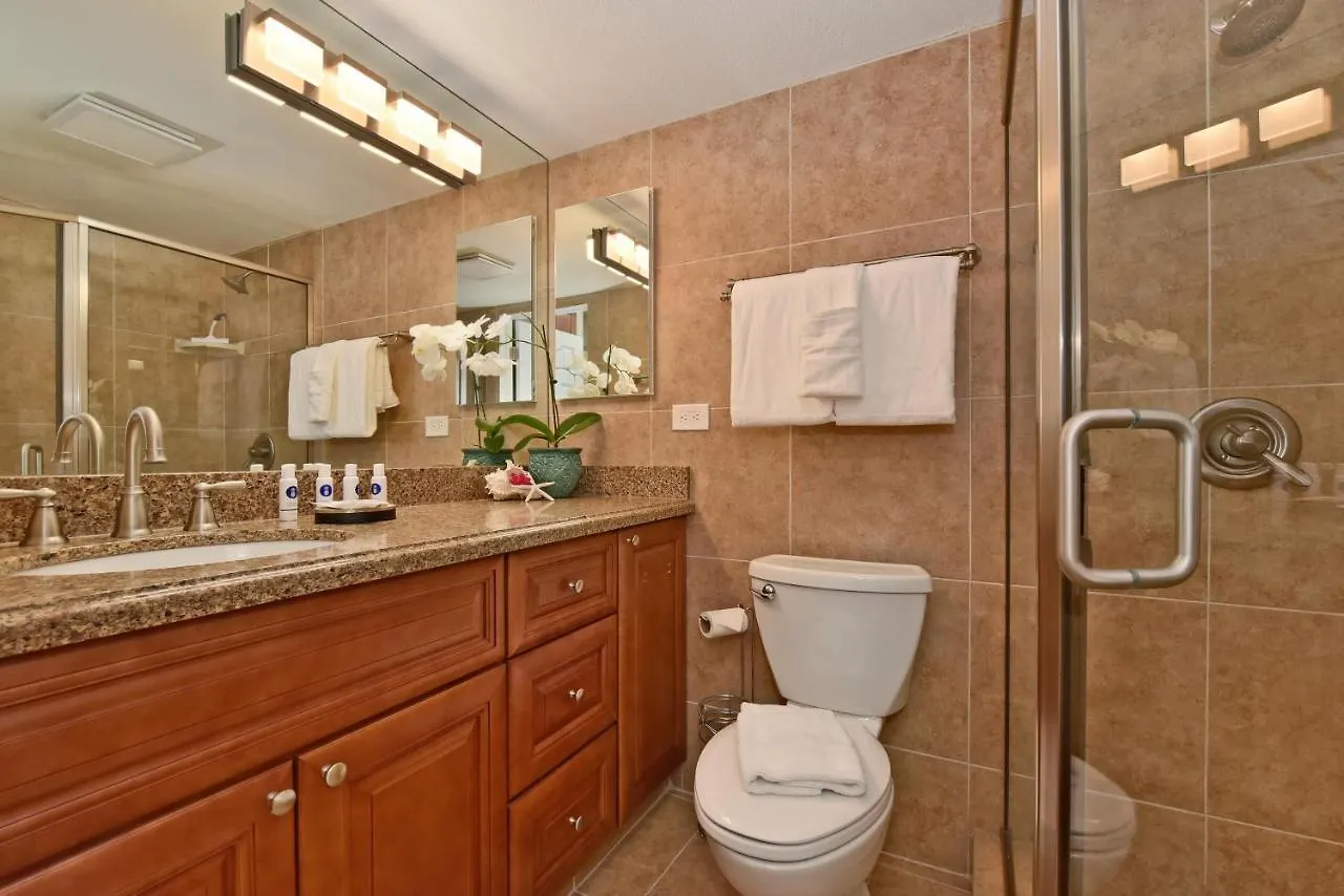 Holiday home Paki Maui 424 Villa Kahana United States