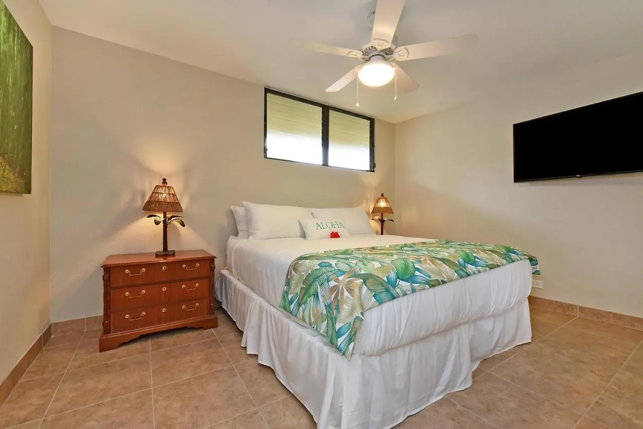Holiday home Paki Maui 424 Villa Kahana United States